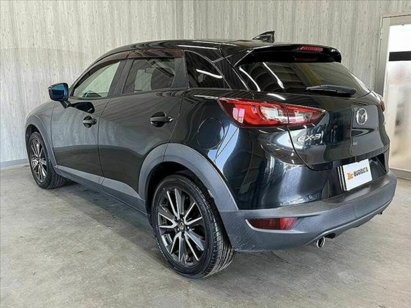 CX-3-21