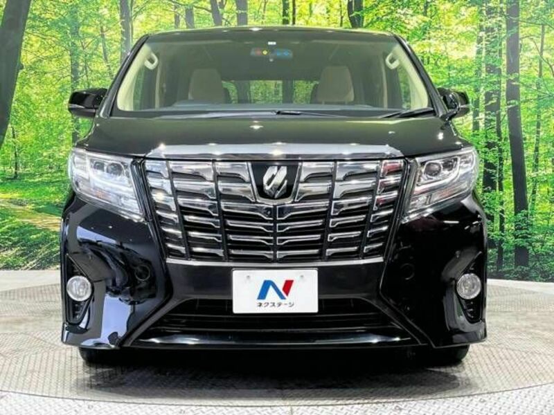 ALPHARD-15