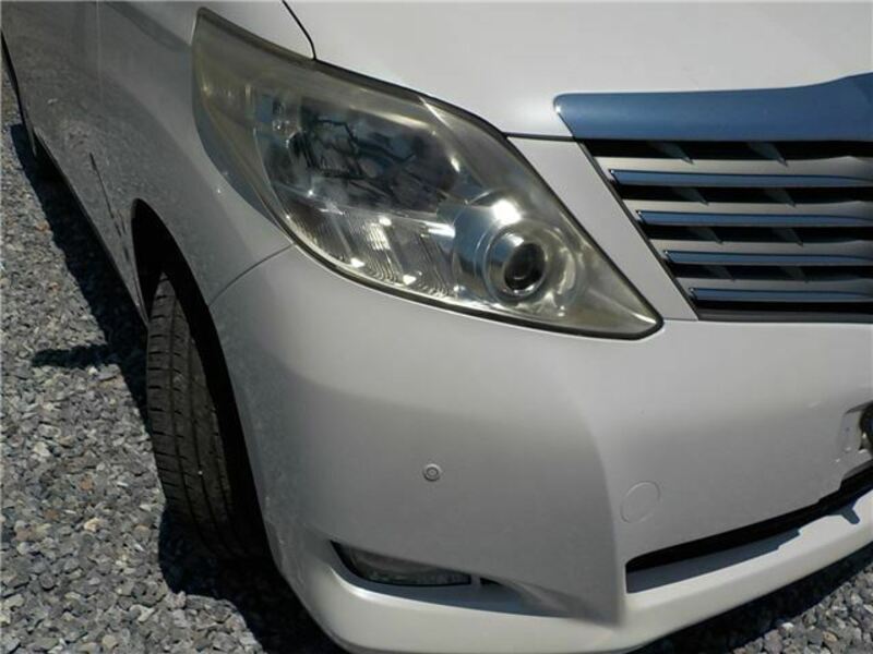 ALPHARD-41