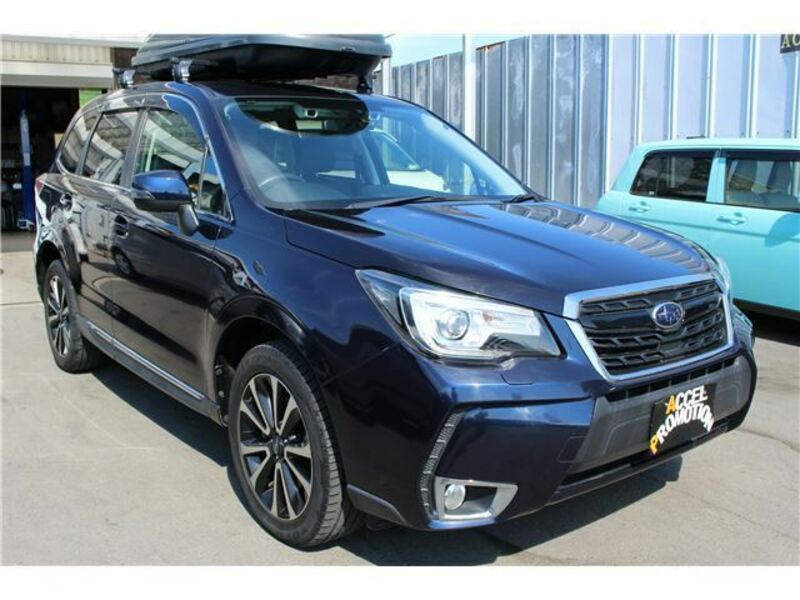 FORESTER-6