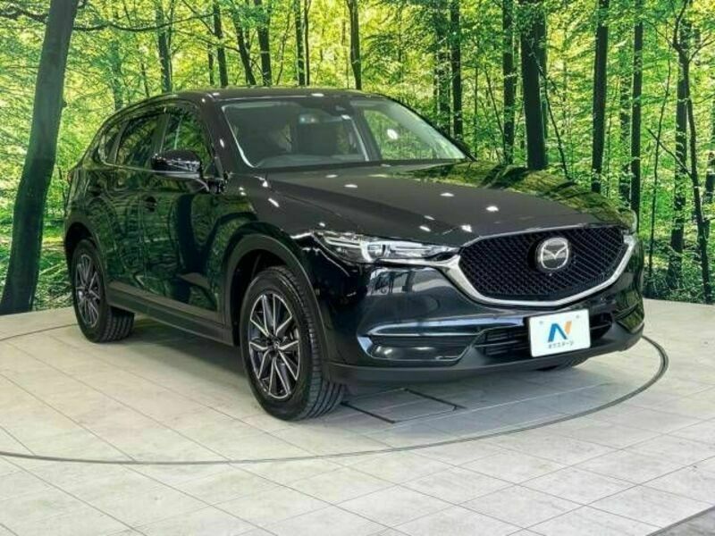 CX-5-17