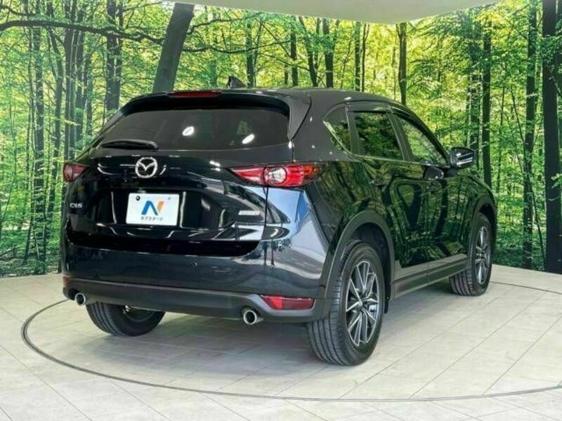 CX-5-18