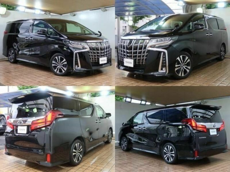 ALPHARD-1