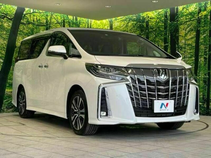 ALPHARD-18