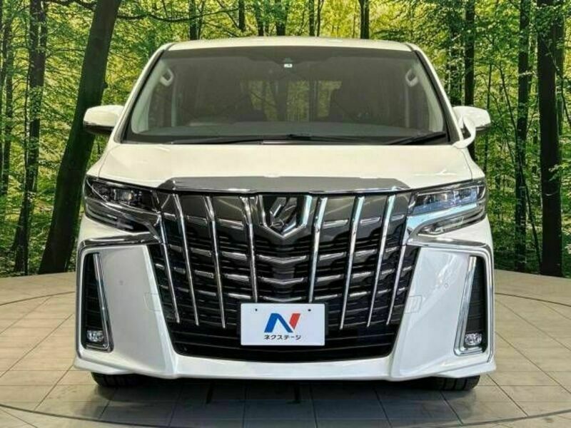 ALPHARD-15