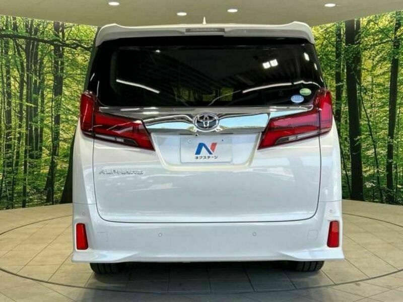 ALPHARD-16