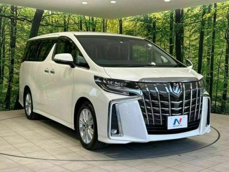 ALPHARD-17