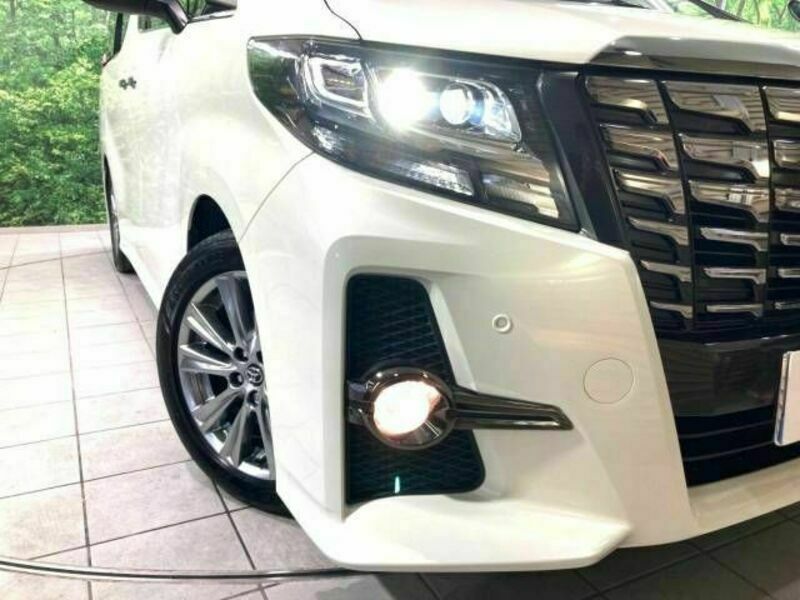 ALPHARD-12