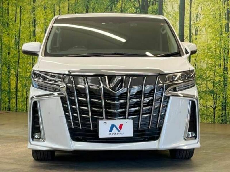 ALPHARD-16