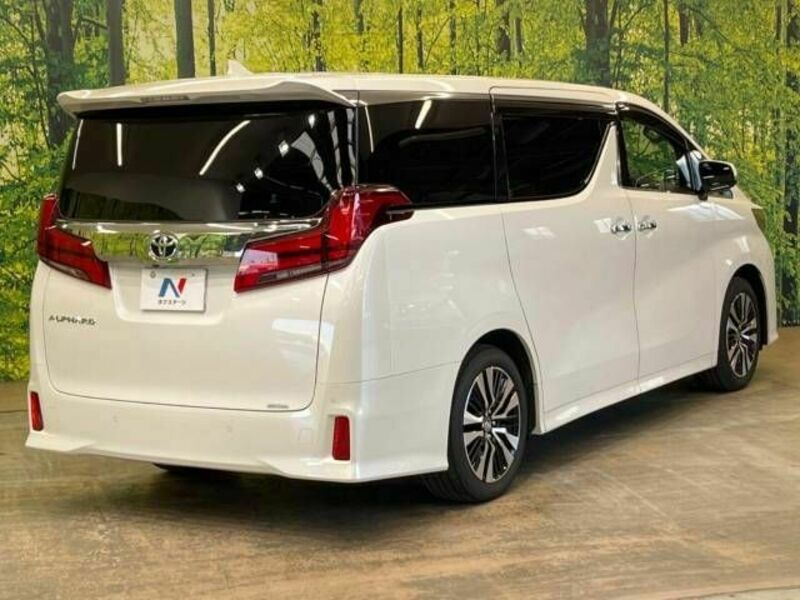 ALPHARD-19