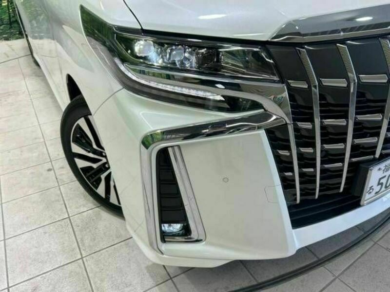 ALPHARD-11