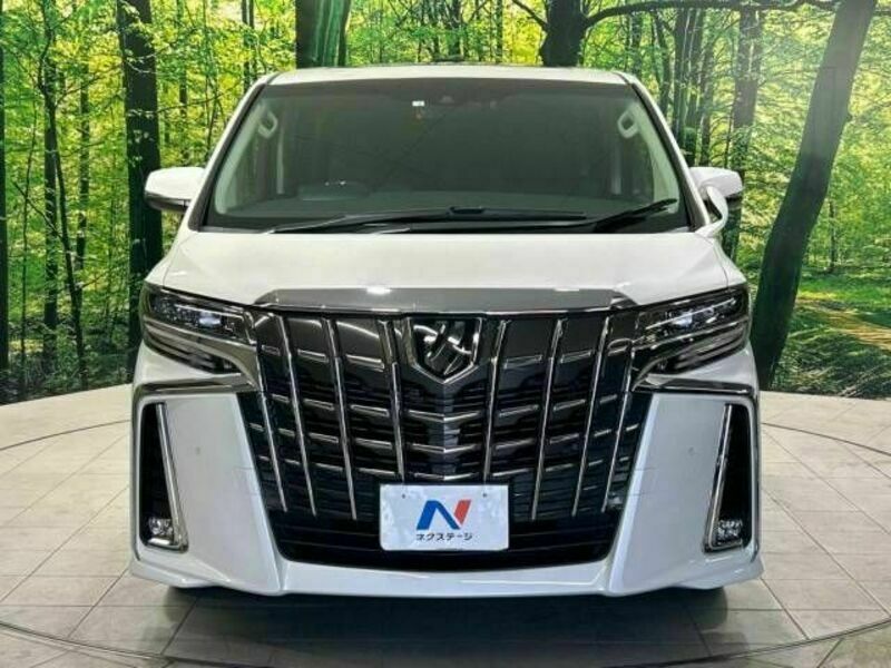 ALPHARD-13