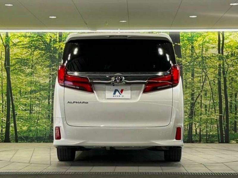 ALPHARD-15