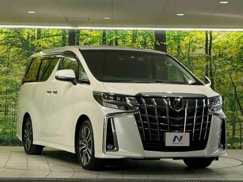 ALPHARD-17