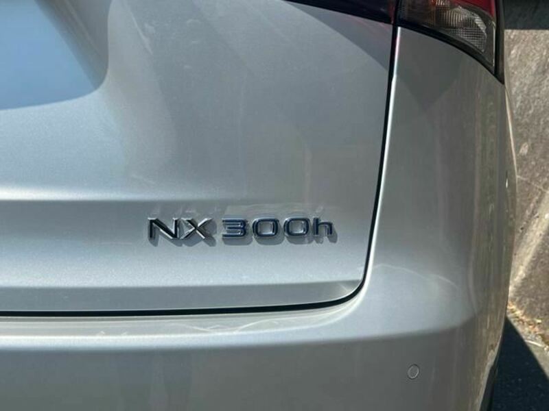 NX-15