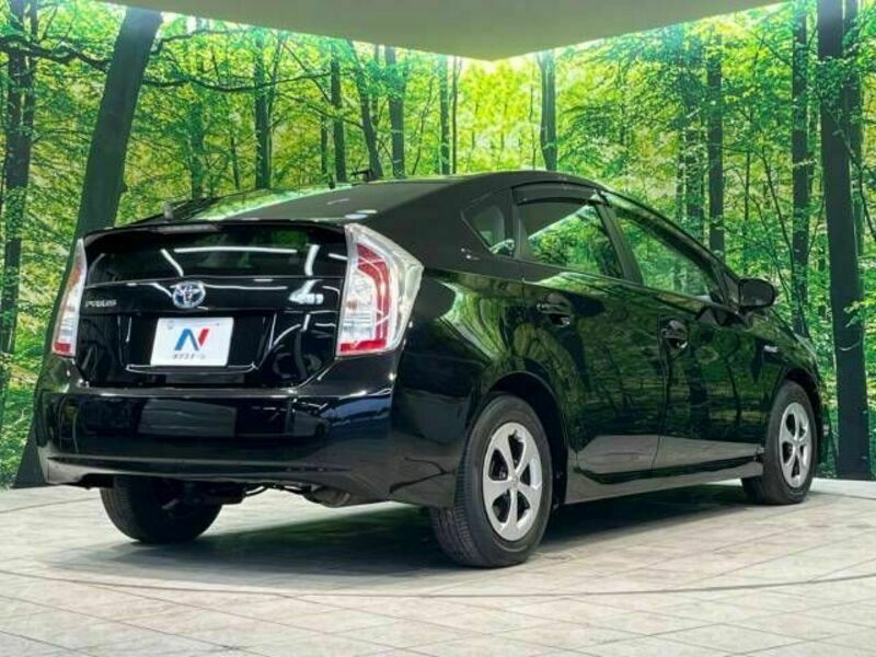 PRIUS-17