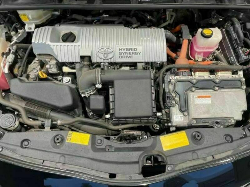 PRIUS-19