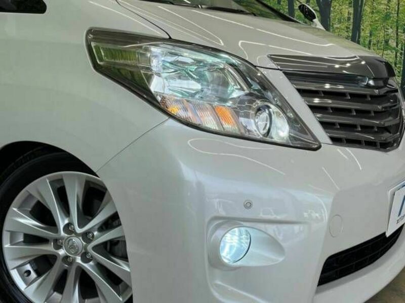 ALPHARD-14