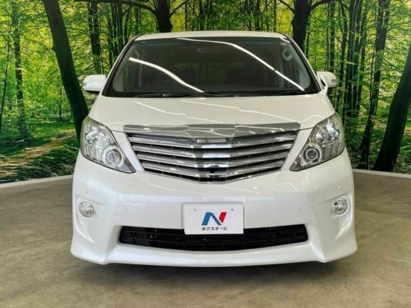 ALPHARD-16