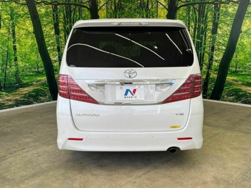 ALPHARD-17