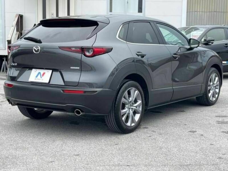 CX-30-19