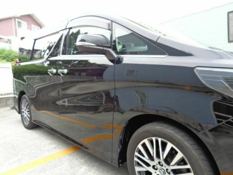 ALPHARD-6