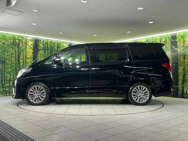 ALPHARD-16