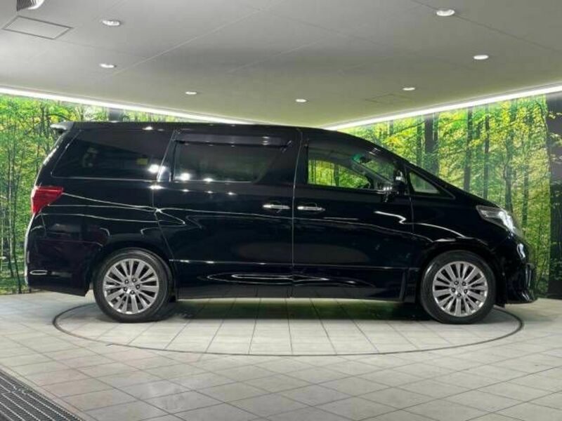 ALPHARD-17