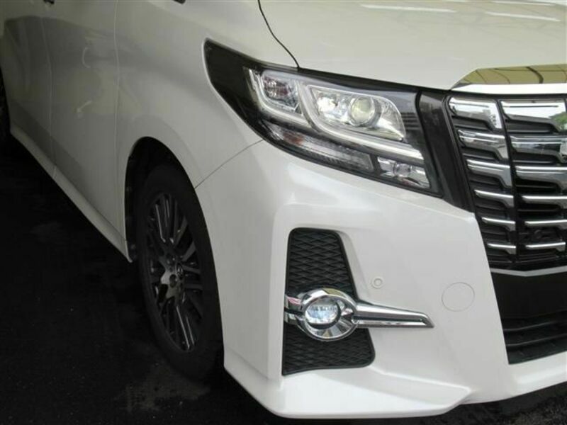 ALPHARD-15