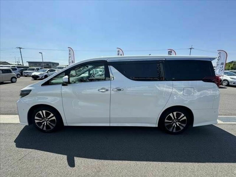 ALPHARD-10