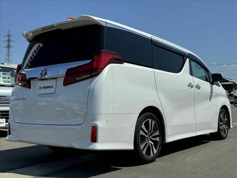 ALPHARD-14