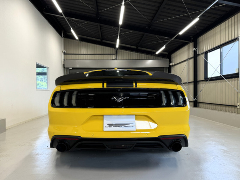 MUSTANG-7