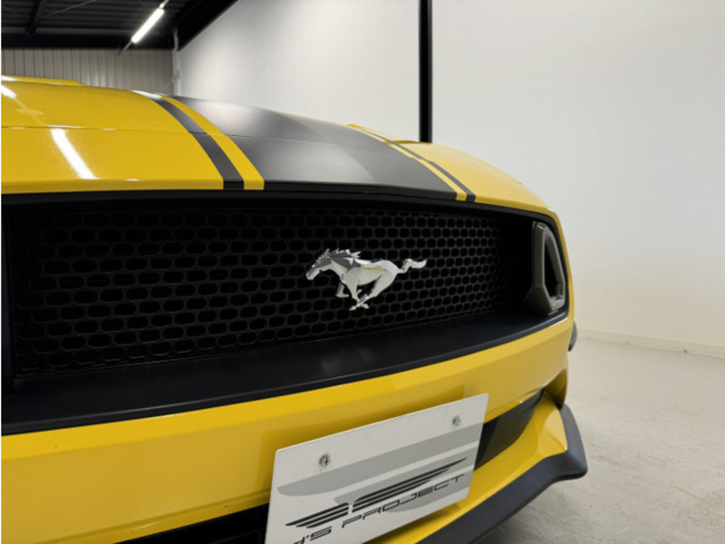 MUSTANG-14