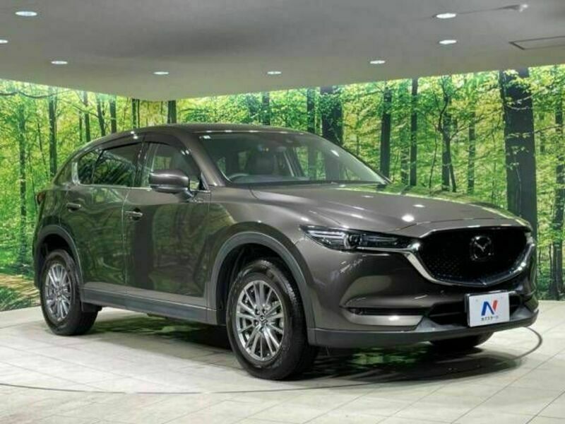 CX-5-16