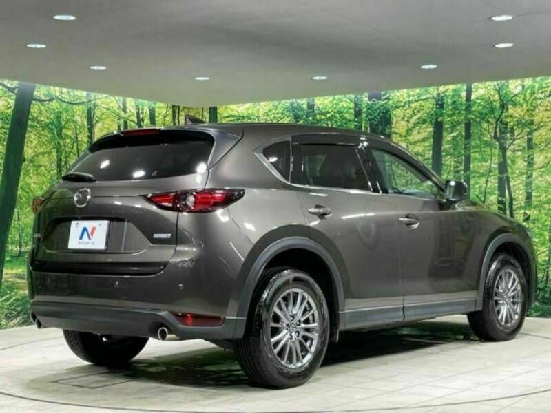 CX-5-17