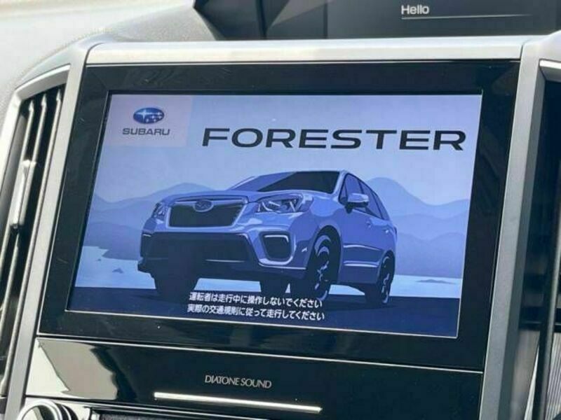 FORESTER-2