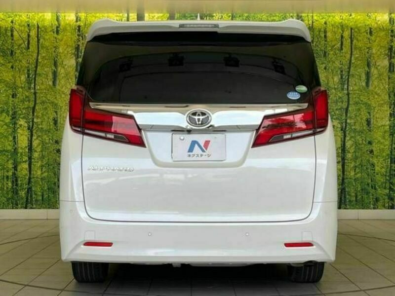 ALPHARD-15