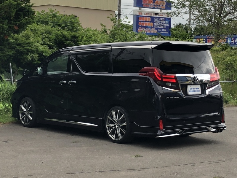 ALPHARD-13