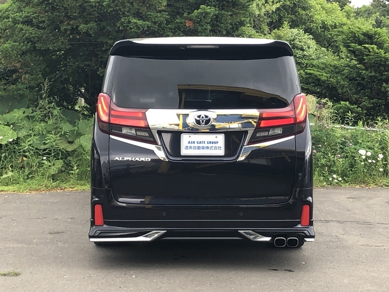 ALPHARD-3