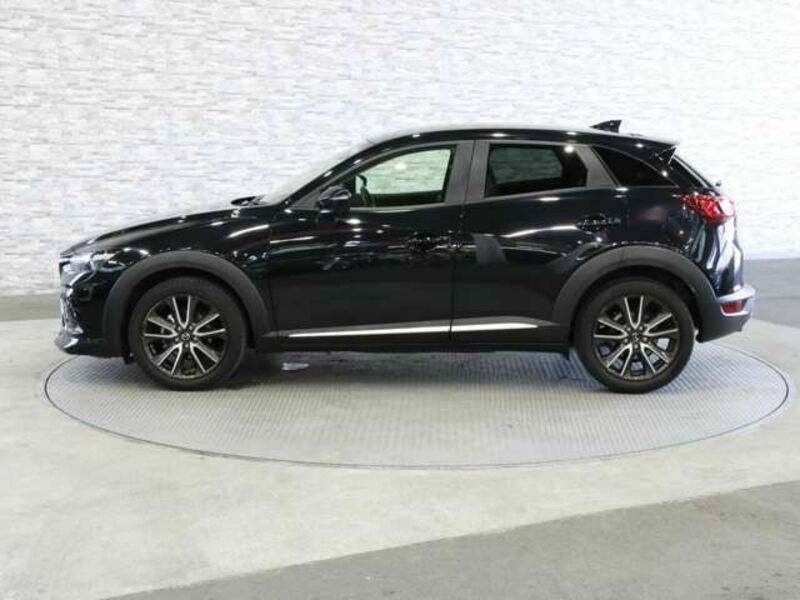 CX-3-11