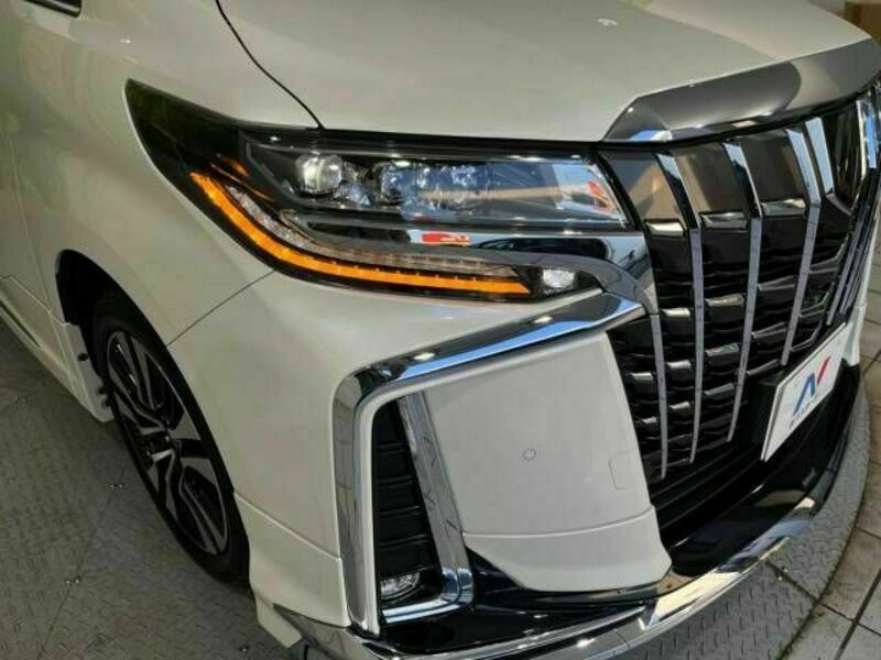 ALPHARD-13