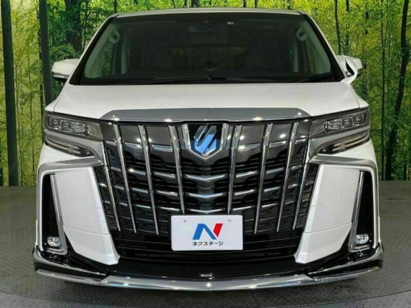 ALPHARD-15