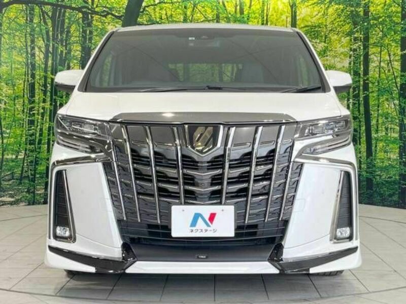 ALPHARD-15