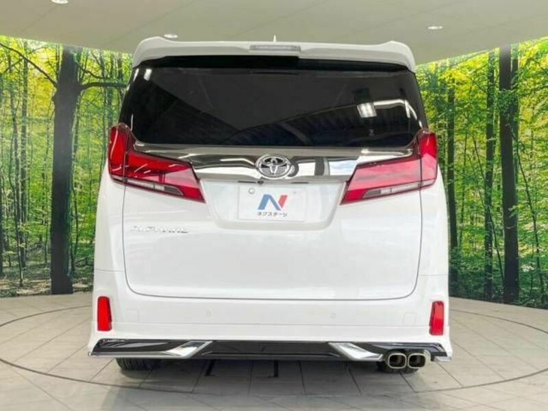 ALPHARD-16