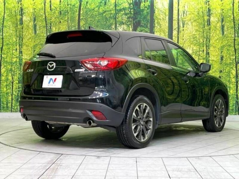 CX-5-17