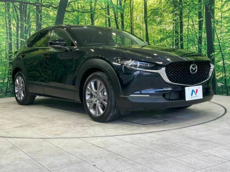 CX-30-16