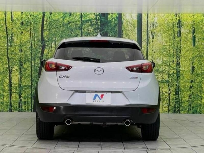 CX-3-15