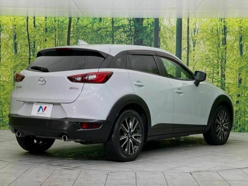 CX-3-17