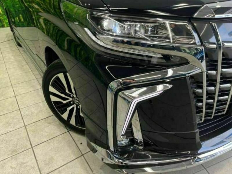 ALPHARD-17