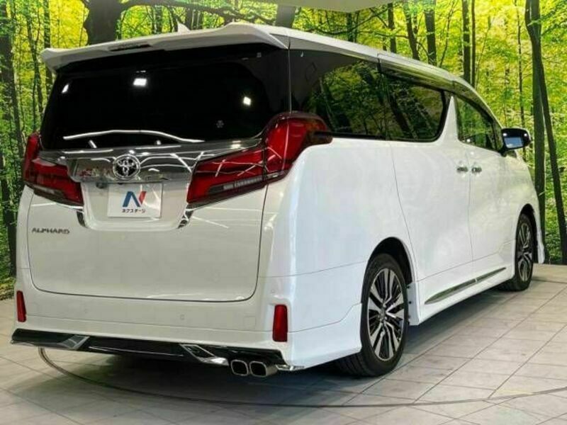 ALPHARD-17